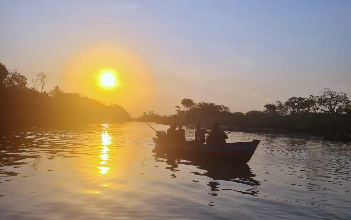 Oportunidades Estrat Gicas Para A Cadeia Do Pescado Na Amaz Nia