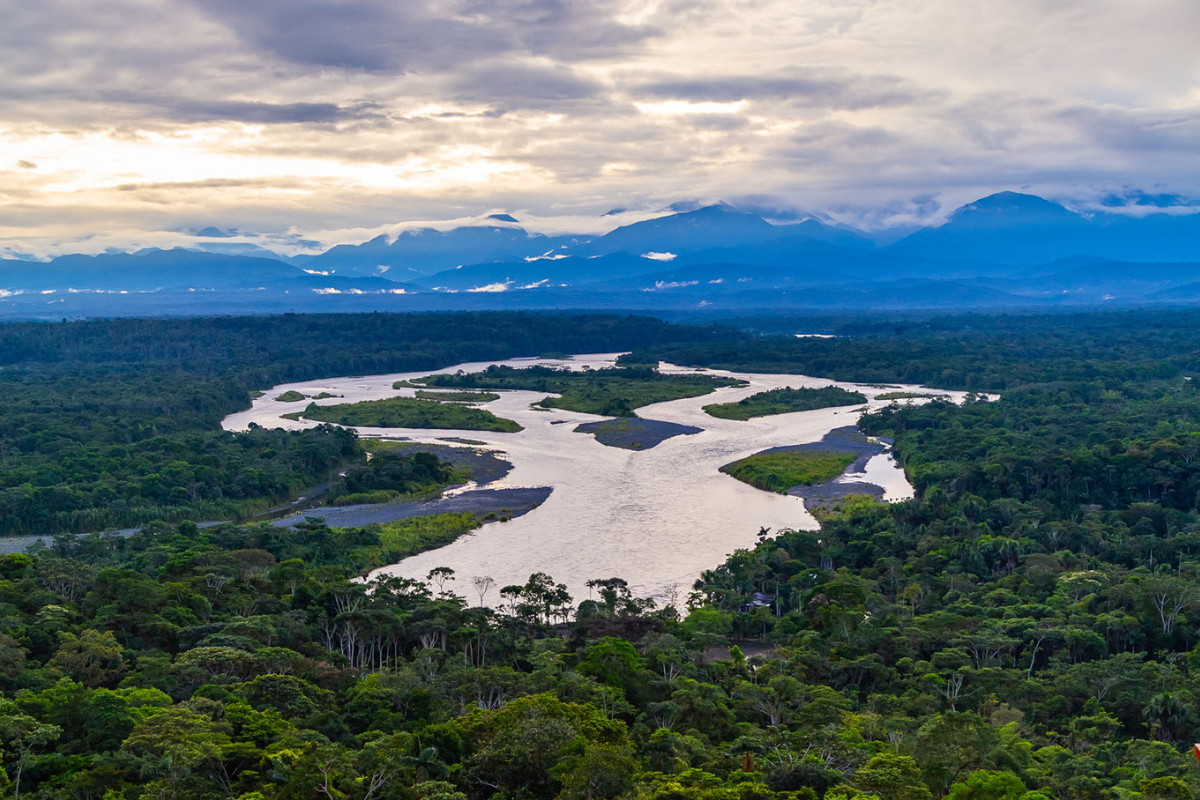 Aventure-se na floresta em Sobrevivência na Amazônia