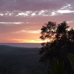 Throat of Death - Belterra-Pará-Brazil